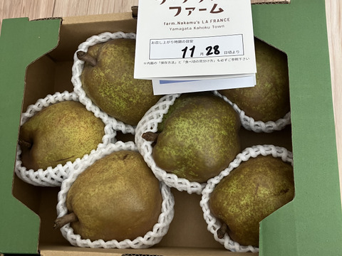 【ラフランス専業農家が贈る🍐】ラ・フランス 訳あり２kg４〜７玉入り　２Lサイズ以上のみ！【規格外】