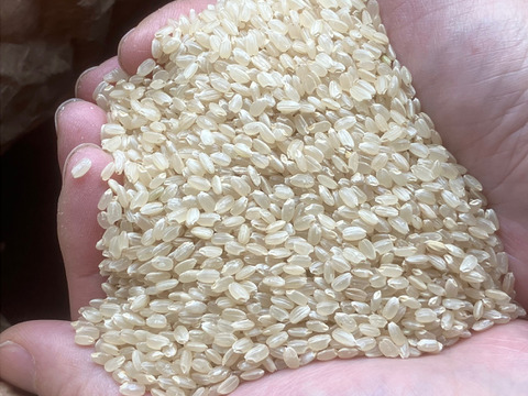 無施肥・農薬不使用・除草剤不使用 南魚沼産コシヒカリ 玄米 5kg