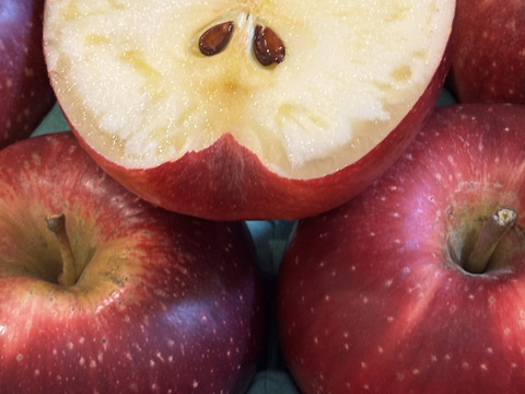 お試しに！シナノホッペ【３kg家庭用🍎8個～12個入り】ルビー色のレア品種※化学合成農薬約40％削減