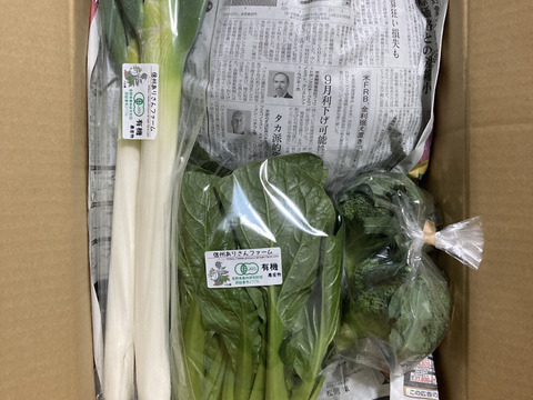 【有機JAS】冬野菜セット（7～9品目）【信州産】