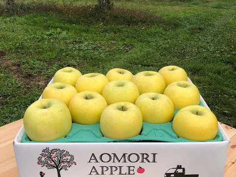 ～🍏青森りんご🍏～爽やかな甘さをお届けします『シナノゴールド』５Kg　１２個から２０個入り