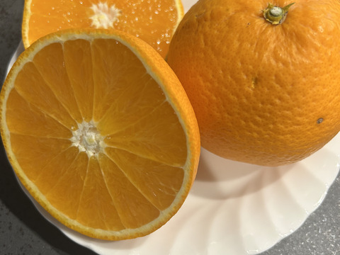 【今が旬】果汁たっぷり和歌山県産清見オレンジ！訳あり4kg