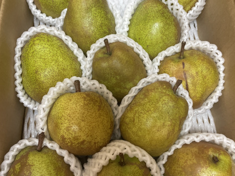 こだわり栽培 3kg ラ・フランス　家庭用　10〜15玉入り　生食・加工用どちらでも　山形県産西洋梨ラフランス