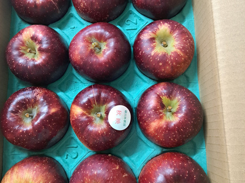 深紅色が目を引くりんご　秋映　家庭用（8個から12個）