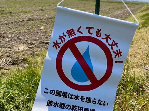 🏆未来を耕すお米賞【にじのきらめき白米5kg】【節水型乾田直播栽培】新しい栽培方法の特別なお米限定販売/新潟県令和７年産新米