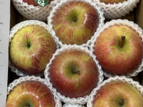 【冬ギフト】 🍎レビュー数1700件突破！！《家庭用》青森完熟葉とらずふじ８〜１２玉(約３kg)🍎ID119812