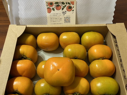 【送料500引き🍂】ジュワ！ 甘っ！ 平核無（ひらたねなし）柿🟠✨　ファミリーパック L以上15〜20個入り 11月上旬より順次発送