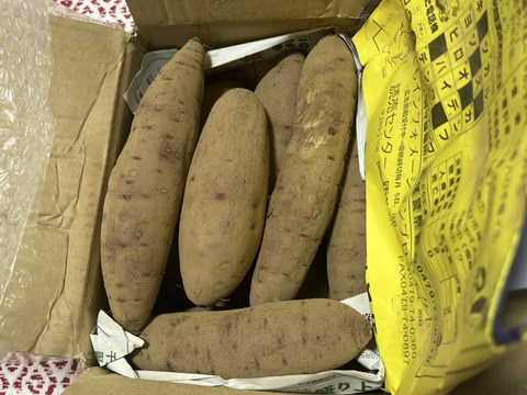 ねっとり系代表❣️千葉県香取市産　S・M
さつまいも極甘！ 【紅はるか】1.5kg