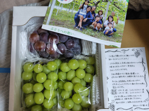 訳あり特価！！　大人気シャイン1房＆ピオーネ2房のぶどう詰め合わせ　２kg☆