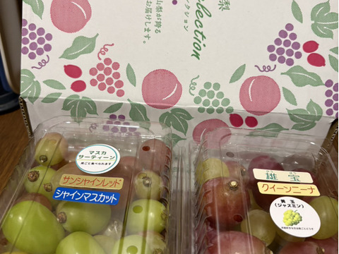 粒売り【品種MIX】お買い得♪ぶどうの切り落とし約1.5kg：山梨県産の