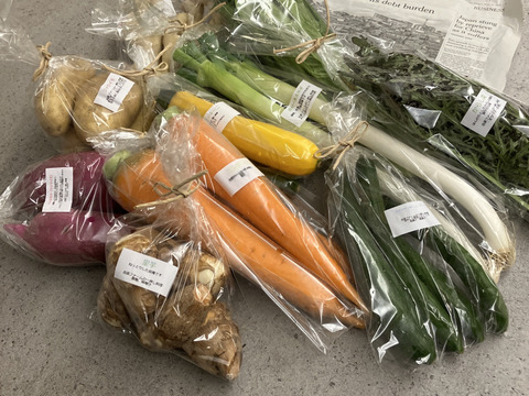 自然栽培野菜Mセット7～9種類：栃木県産の野菜セット｜食べチョク