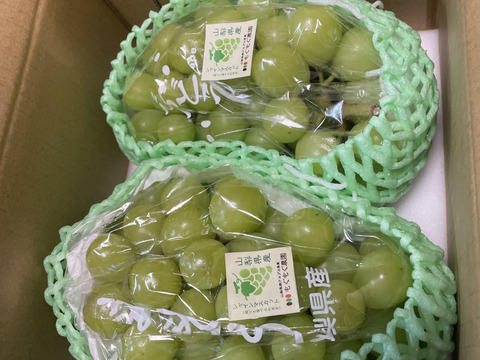 【山梨県産】【クール】シャインマスカット正規房【1kgから1.2kg】パリッと皮ごと食べられる大粒種無し！（2房から3房）