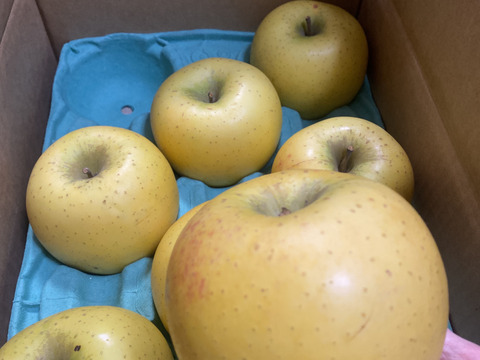 シナノゴールド💛家庭用約2.7Kg🍏青森県産　数量限定