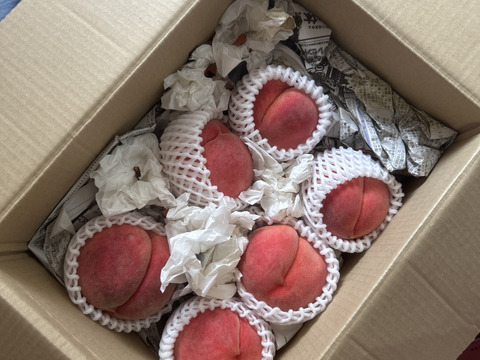 山梨県産　極上甘い桃　家庭用(5玉前後)