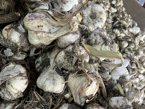 R７年産！青森県産　★お得な訳あり★にんにく！　１kg