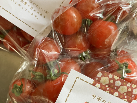 【食べ比べ 】食卓に笑顔を　ハートの様な形のトマトベリー＆ミニトマトのセット 1kg【千葉県旭市産】【トマト食べ比べ】