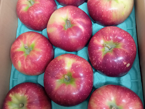 訳あり 秋映 小～中玉サイズ 3キロ箱12～13玉 長野県産