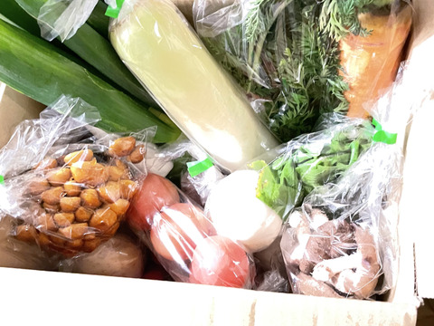 【ゼロエネルギーCO2フリー】リジェネラティブ野菜セット【Lサイズ】１２〜１５品／点