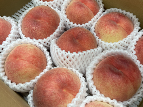 ※予約ページ限定100セット　桃　太陽をたくさん浴びた 甘い桃　あかつきご家庭用約３キロ