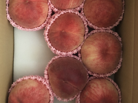 【優品】産地直送！硬めの桃（ご家庭用・3㎏）※品種：さくら【最終10箱限定】