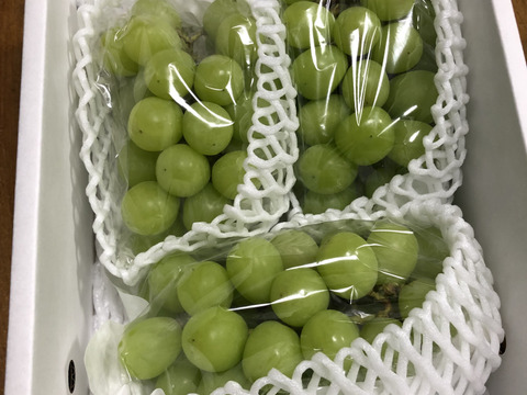 最終セール🍇山形県産シャインマスカット 【3-4房