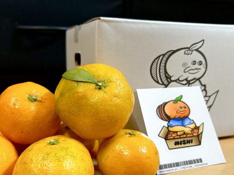 【甘み＆食べやすさ】の二刀流！西果樹園みかんの代表格！西幸みかん【早生みかん2.5キロ】🍊