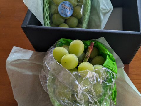 ひと味違う！【温室ハウス栽培】こだわり栽培の高品質シャインマスカット 2房計約1.0kg 秀品ランク 岡山県産 (熨斗対応可) 【夏ギフト】