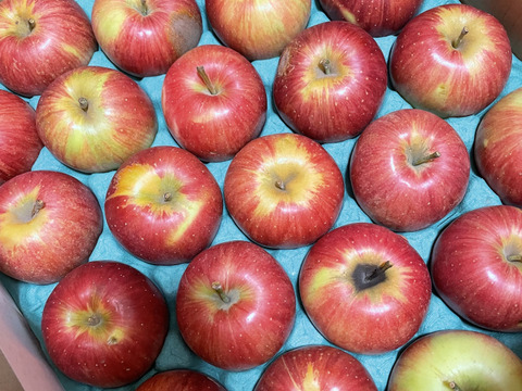 残り30ケース🍎【シナノシリーズ一番人気】シナノスイート5キロ箱 訳あり品 甘くてシャキシャキ ID12292 長野県 信州 安曇野 リンゴ 幻 幻のリンゴ 予約 希少 旬 甘い