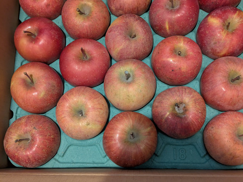 「完熟サンふじ」訳あり 在庫一掃底値市！　ご家庭専用　5キロコース　中小玉（16～20個入り） 甘くてジューシー　甘さと酸味バランス良好