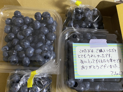 摘みたて　農薬不使用　千葉県産　生ブルーベリー　200g×2パック&B品100g×2袋　600gセット
