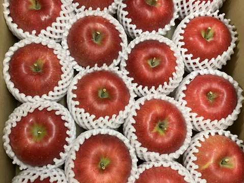 【贈答用】青森県産りんご「シナノスイート」約10kg(5kg×2箱)【光センサー選果】