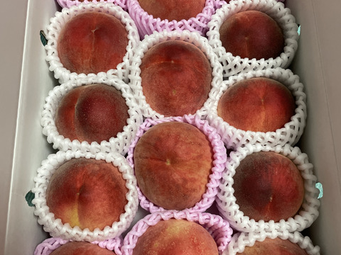 すぐ発送！🍑山梨県産朝採れ白桃】約4キロ！特大～中サイズ11～14