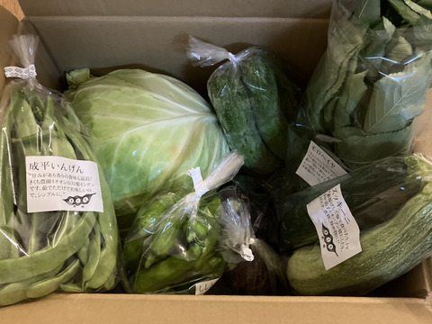 【食べチョクアワード2025受賞】野菜セットＳサイズ（７品）【農薬・化学肥料・動物性堆肥｜不使用】