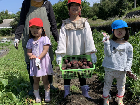デストロイヤー！！（グラウンドペチカ）2キロ