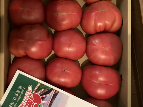 【訳有り品】キズあり不揃いトマト約3.6キロ
