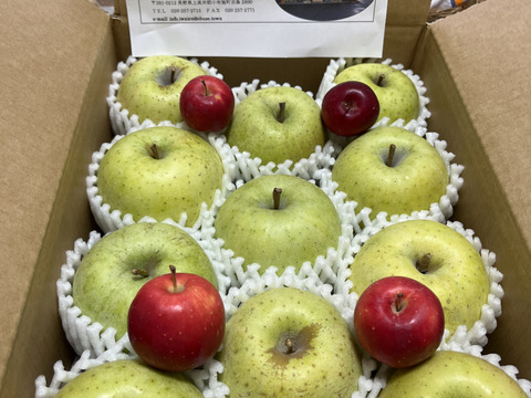 樹上完熟・葉取らず王林　Lサイズ約3kg