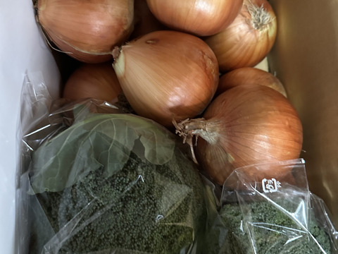 ブロッコリー2株×淡路島玉ねぎ10個セット【祝!3年連続金賞🏆】