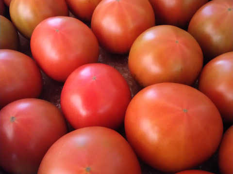 【野菜ソムリエサミット金賞】濃厚！ウエタトマトのトマト(4キロ箱)3箱セット