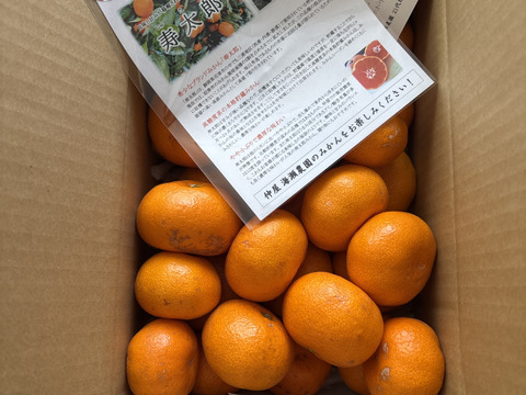 アワード受賞】ちょっと傷あり『寿太郎』3kg サイズ混合 高糖度系の