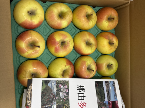 食べた時の甘みが病みつきになる！家庭用ぐんま名月10kg