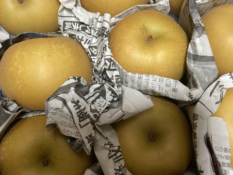 幸水】ミニサイズ梨を格安で🍐【家庭用】約3.5Kg：千葉県産の幸水