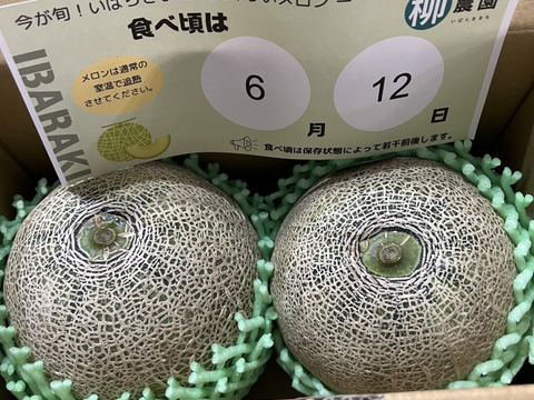 【糖度満点イバラキング】                                   口の中でとろけて飲める果実🍈