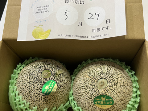 【糖度満点イバラキング】                                   口の中でとろけて飲める果実🍈