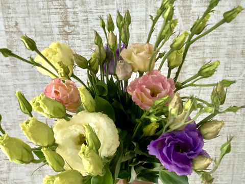 特別値下げ国際展作家・超クールな緑「トルコ桔梗」小原雅夫/真作D・リトグラフ/花 特別値下げ国際展作家・超クールな緑「トルコ桔梗」小原雅夫/真作D・