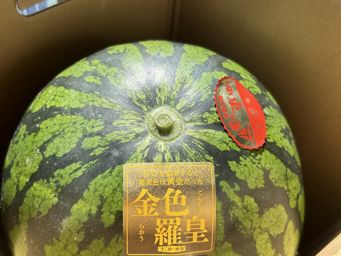 ２玉同梱・５kg×２・ ブラックと羅皇のセット・神奈川県・せな様 楽天市場】羅王 すいかの通販