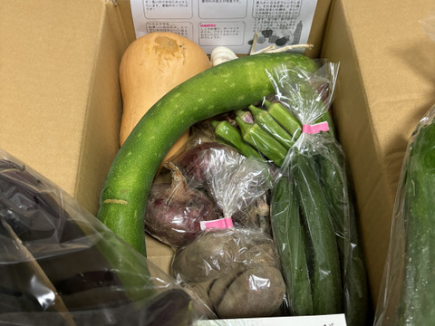 お楽しみ★農園自慢の情熱野菜セット　9袋　発送タイミングおまかせ　フードロス対策　パチャママ農園