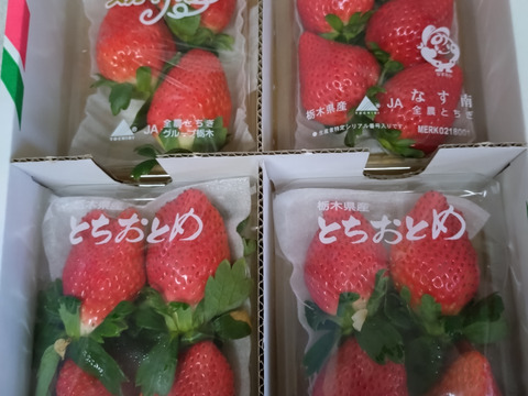 とちぎの完熟いちご３種の食べ比べセット
(とちあいか・スカイベリー・とちおとめ)
【いちご食べ比べ】