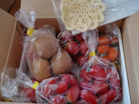 【箱根西麓野菜】とまと食べくらべセット♡桃太郎・レッドオーレ・アイコ（赤、オレンジ色、黄色）１．４ｋｇ◇サイズは色々◇