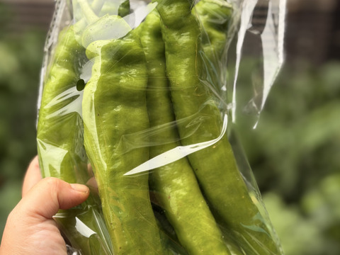 野菜セット新登場！💎 【Sセット（5〜6品）】日常を極上にする、厳選
