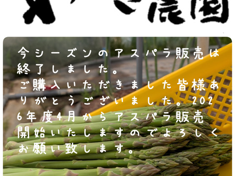 ✩.*˚北海道産 1kg M～2Lサイズ アスパラ！✩.*˚